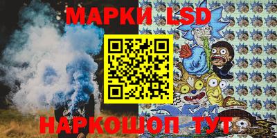 индика Заволжье