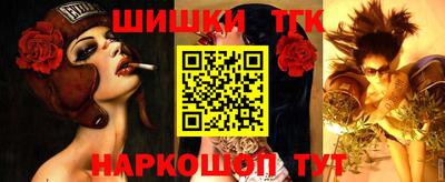 молекула духа Заводоуковск