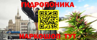 индика Заволжье