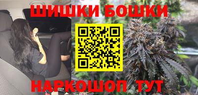 индика Заволжье