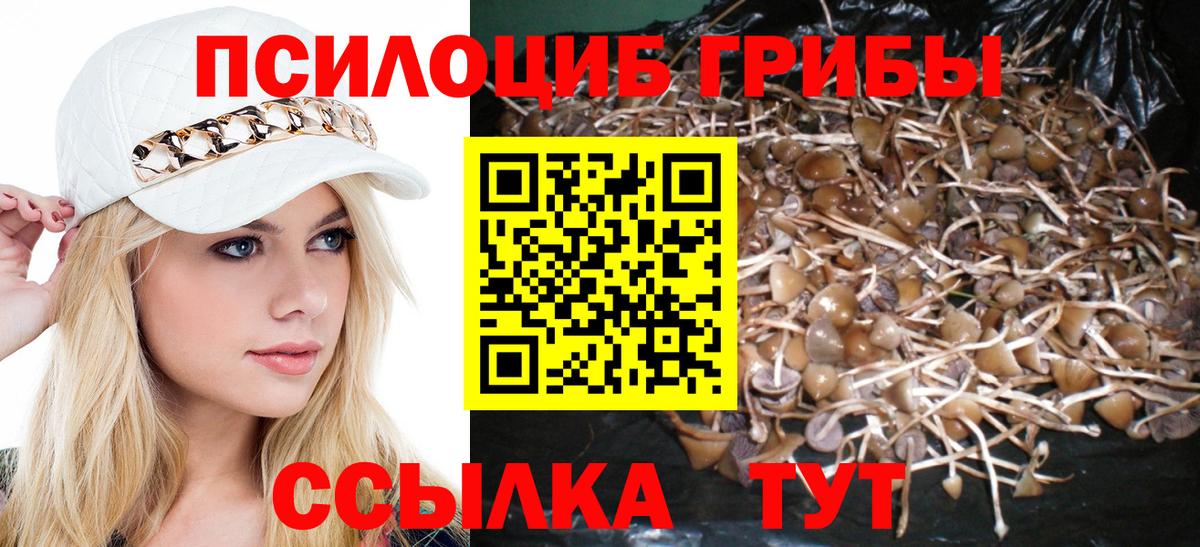 Псилоцибиновые грибы MAGIC MUSHROOMS Майский